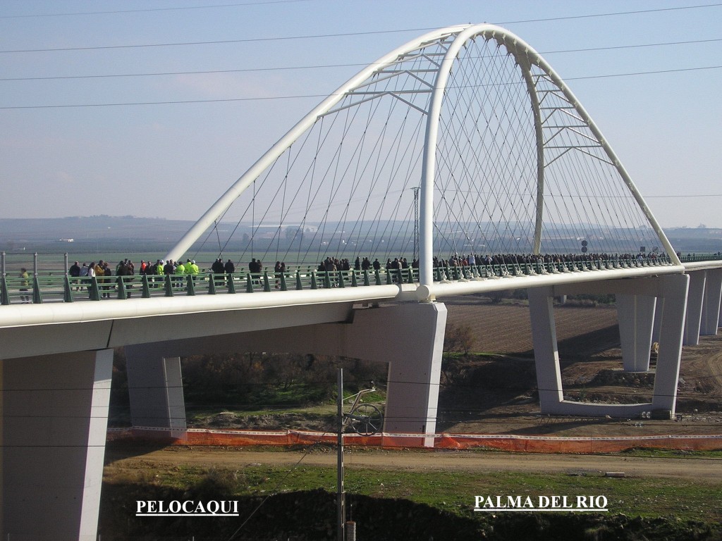 Foto de Palma Del Rio (Córdoba), España