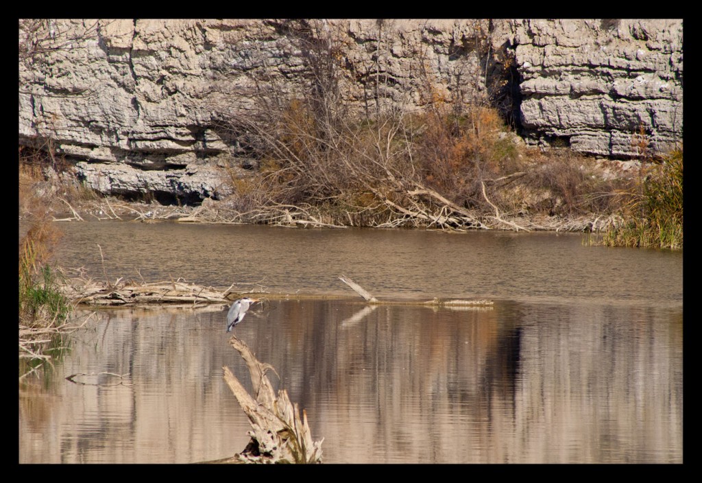 Foto: Galachos - Juslibol (Zaragoza), España