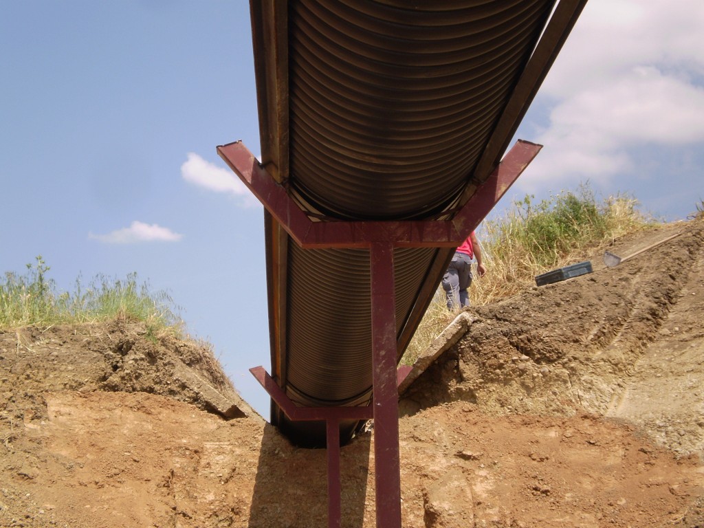 Foto: PELOCAQUI - Palma Del Rio (Córdoba), España