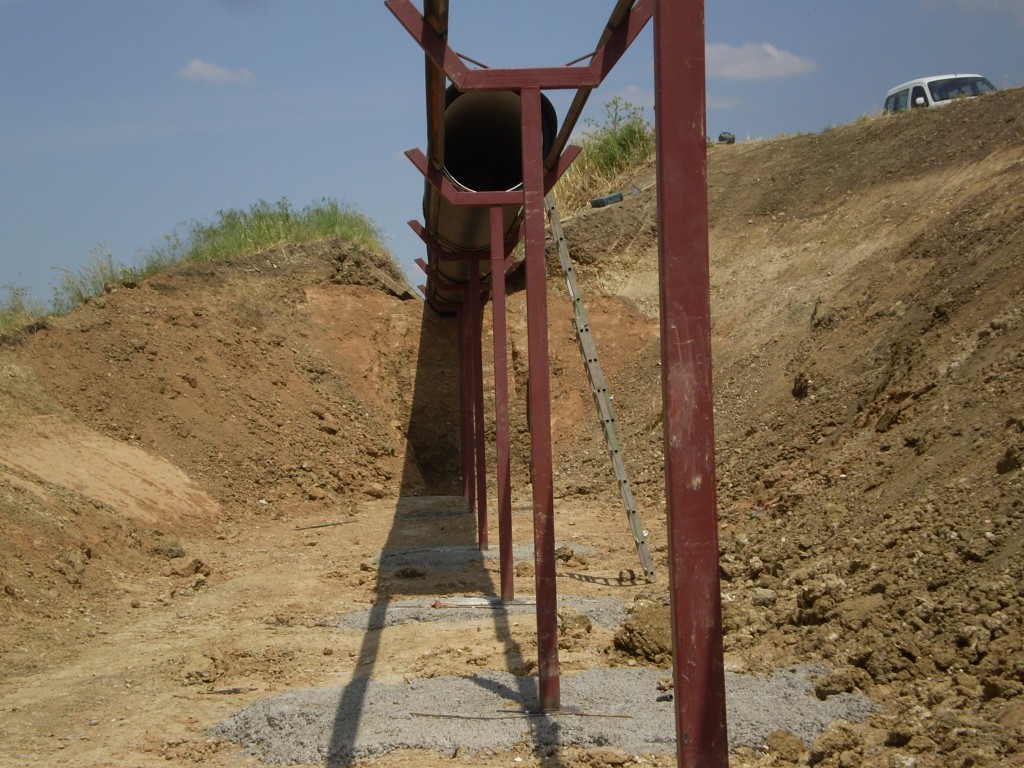 Foto: PELOCAQUI - Palma Del Rio (Córdoba), España