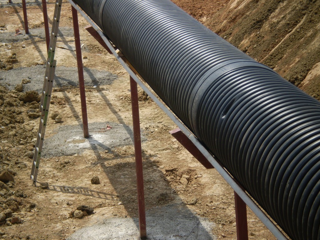 Foto: PELOCAQUI - Palma Del Rio (Córdoba), España