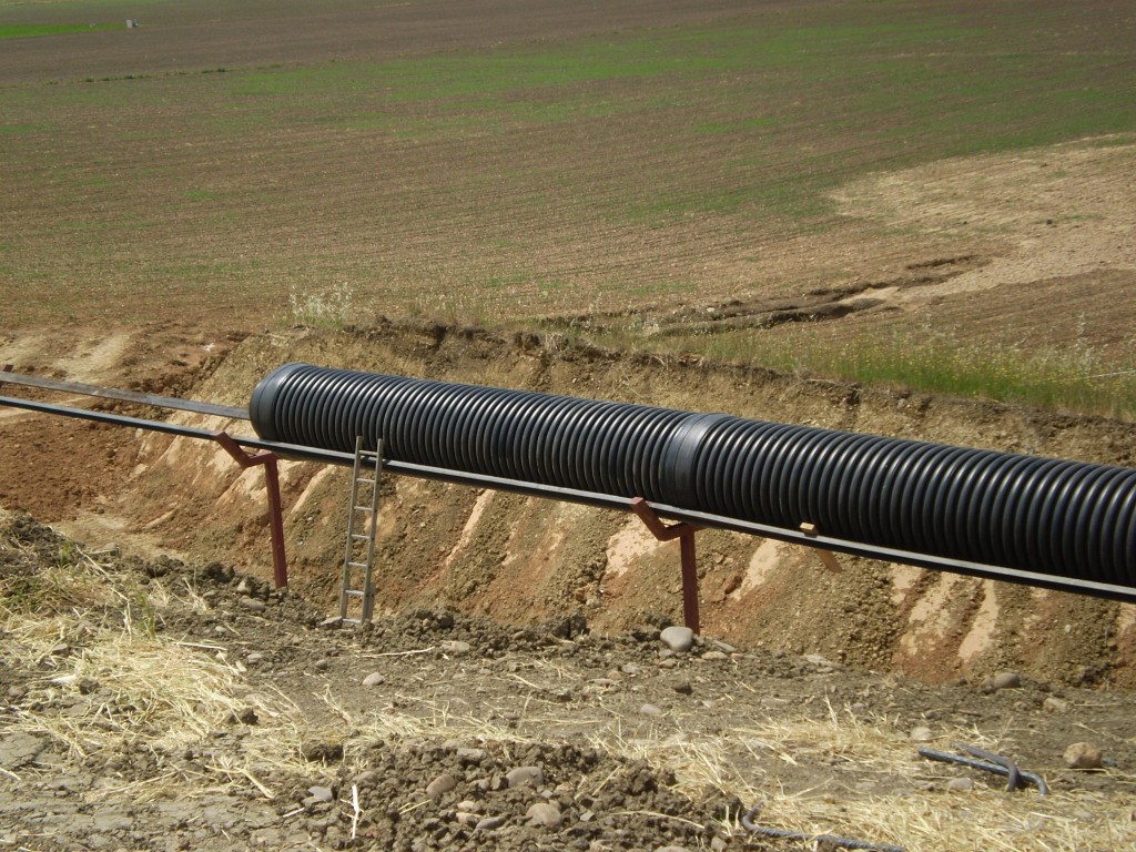 Foto: PELOCAQUI - Palma Del Rio (Córdoba), España