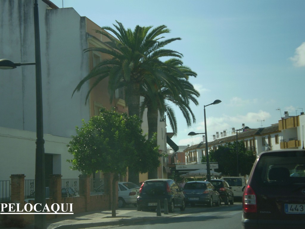 Foto de Palma Del Rio (Córdoba), España