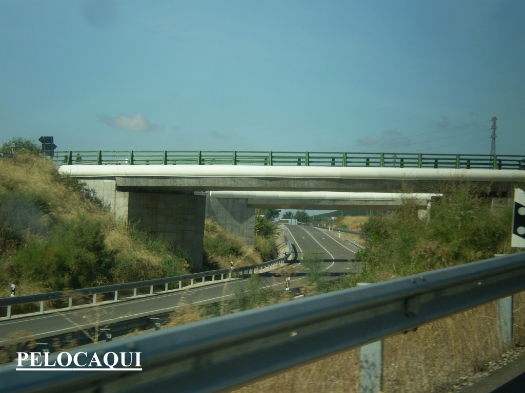 Foto de Palma Del Rio (Córdoba), España