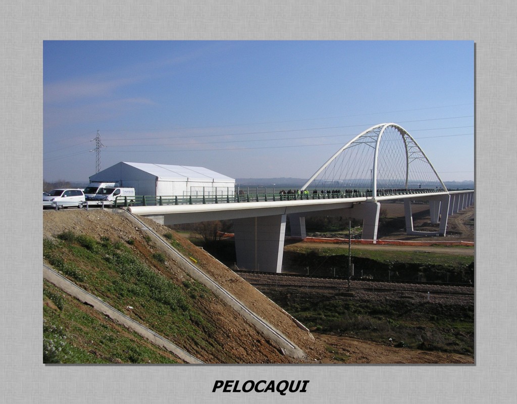 Foto: PELOCAQUI - Palma Del Rio (Córdoba), España