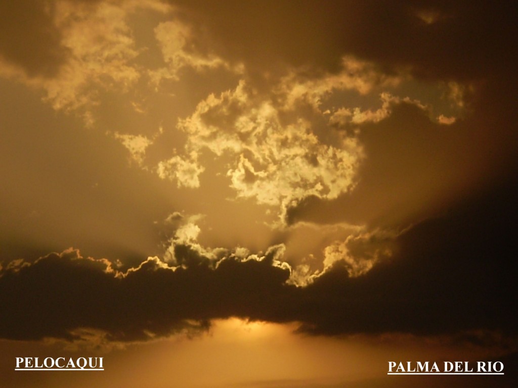 Foto: PELOCAQUI - Palma Del Rio (Córdoba), España