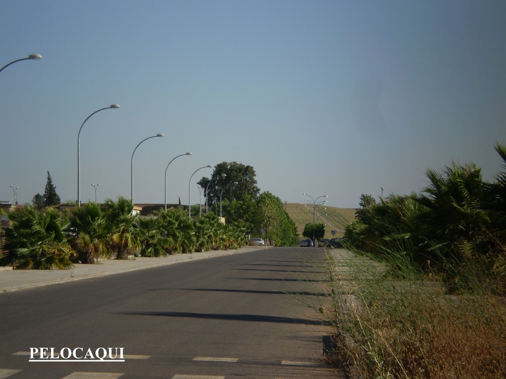 Foto: PELOCAQUI - Palma Del Rio (Córdoba), España