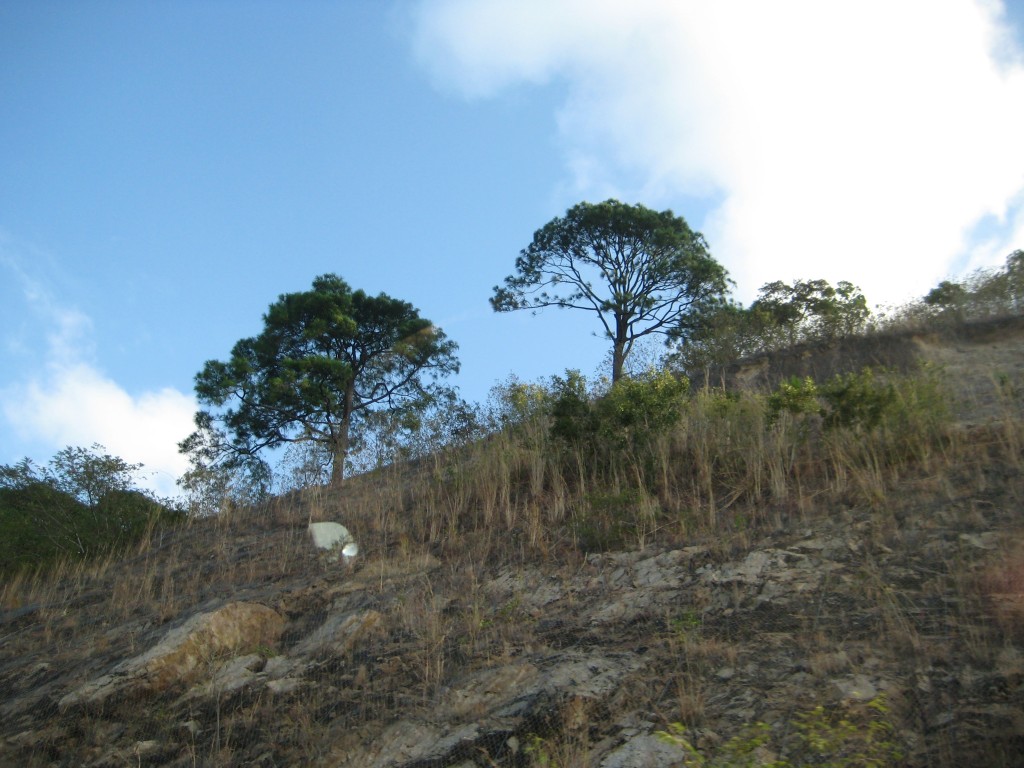 Foto de Tapachula (Chiapas), México