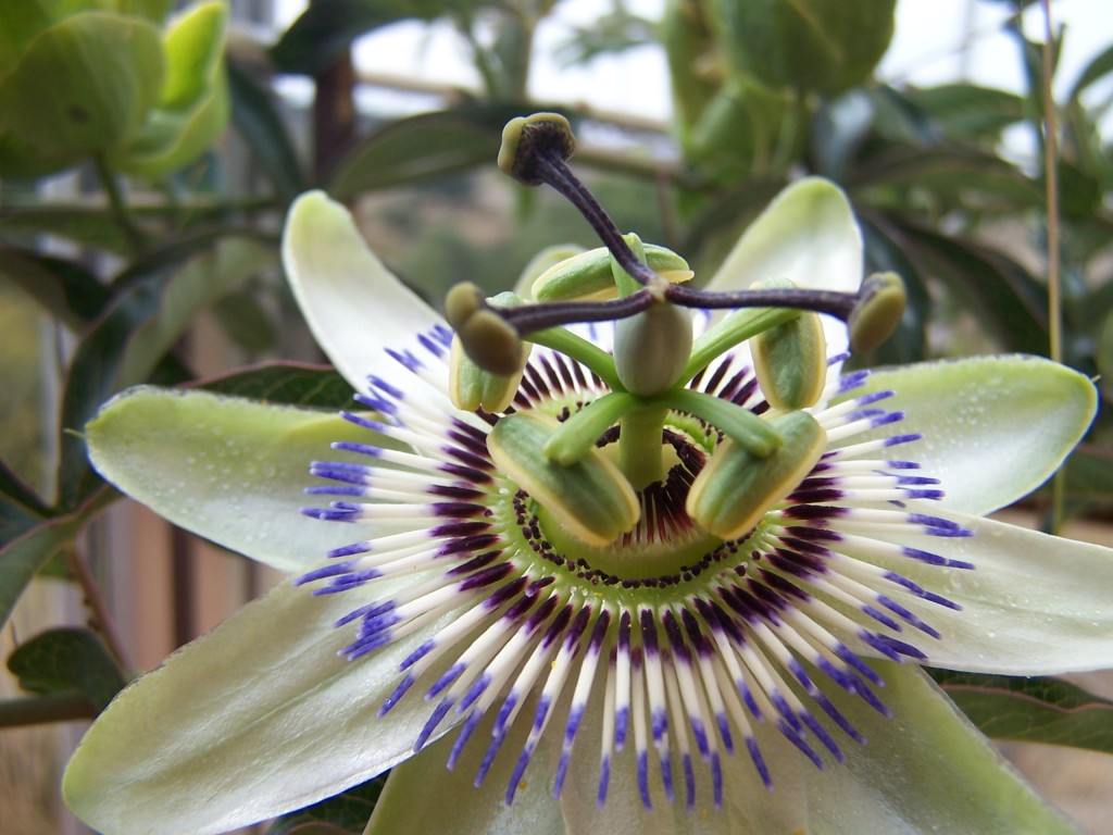 Foto: Villares De Yeltes - Villares De Yeltes (Salamanca), España