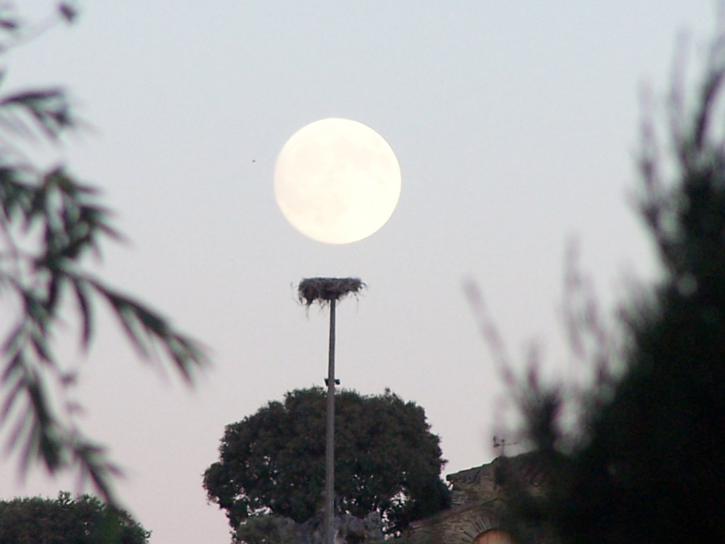 Foto: Villares De Yeltes - Villares De Yeltes (Salamanca), España