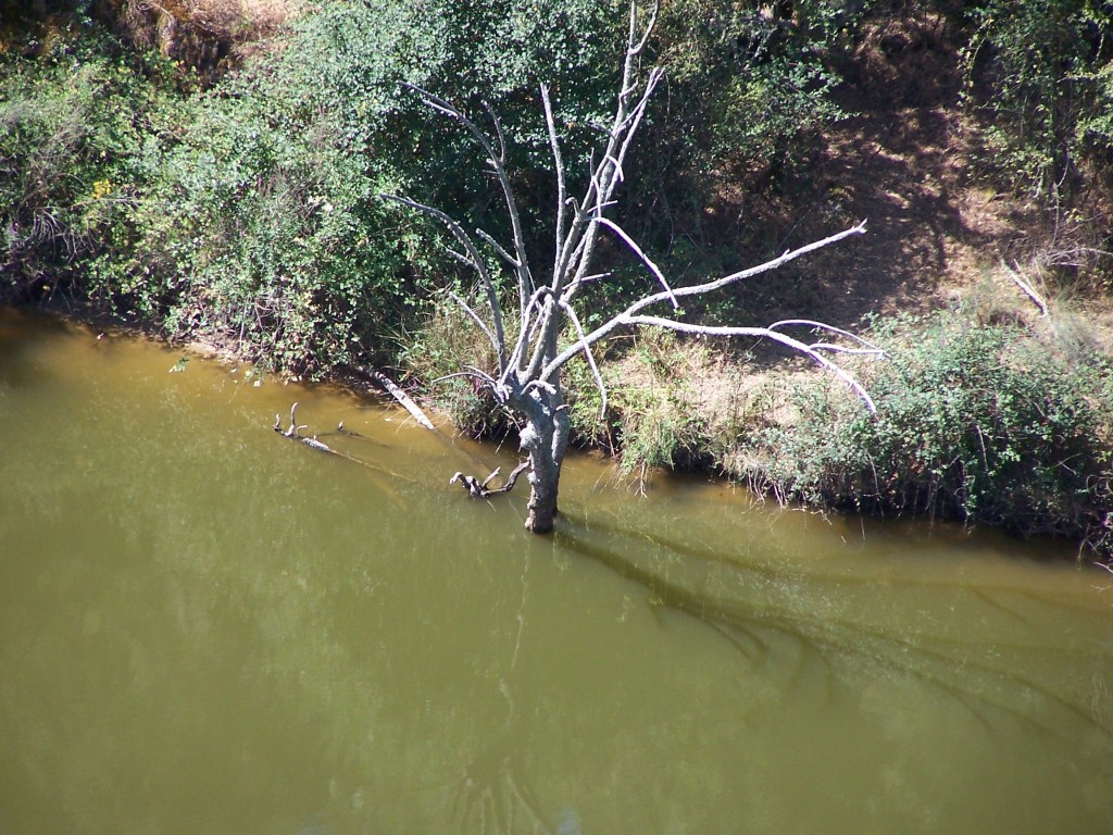 Foto de Villares De Yeltes (Salamanca), España