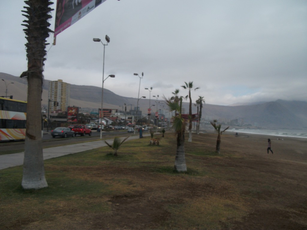Foto: Playa Brava - Iquique (Tarapacá), Chile