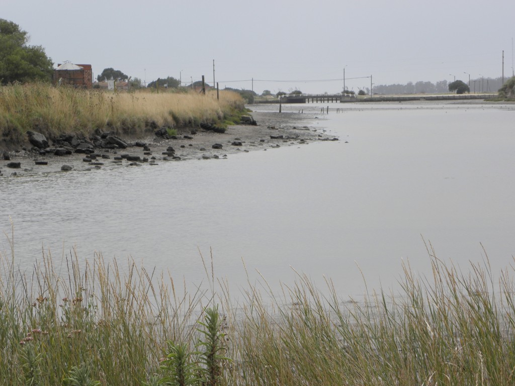 Foto: Albufera - Mar Chiquita, Argentina