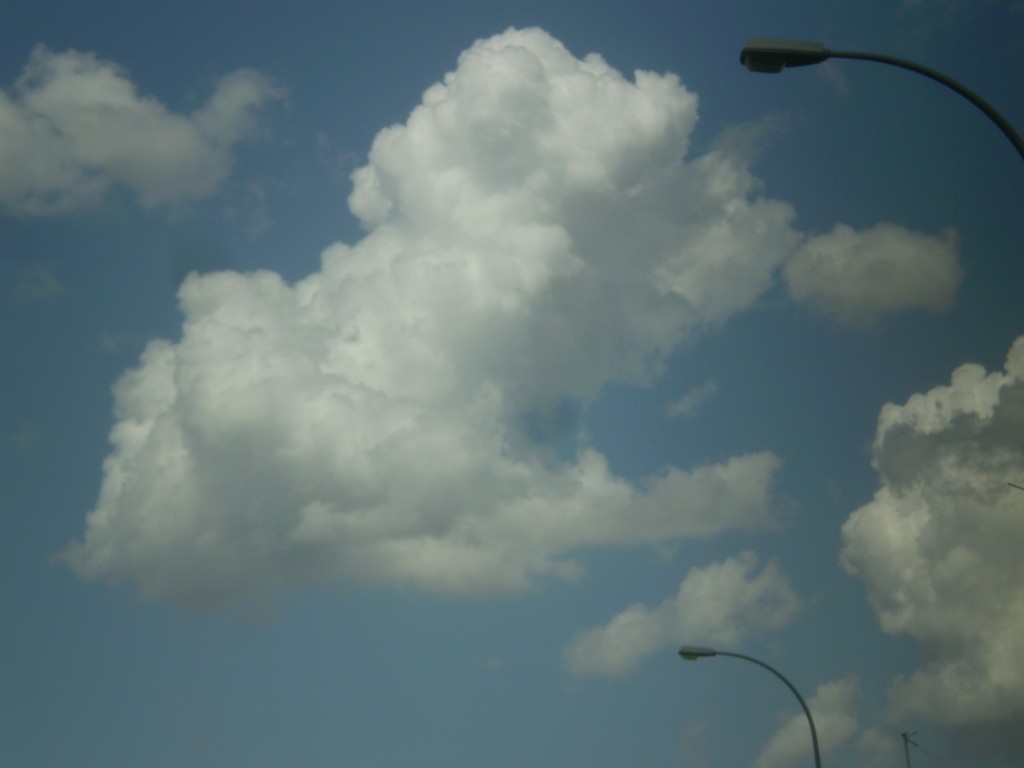 Foto: PELOCAQIO - Palma Del Rio (Córdoba), España