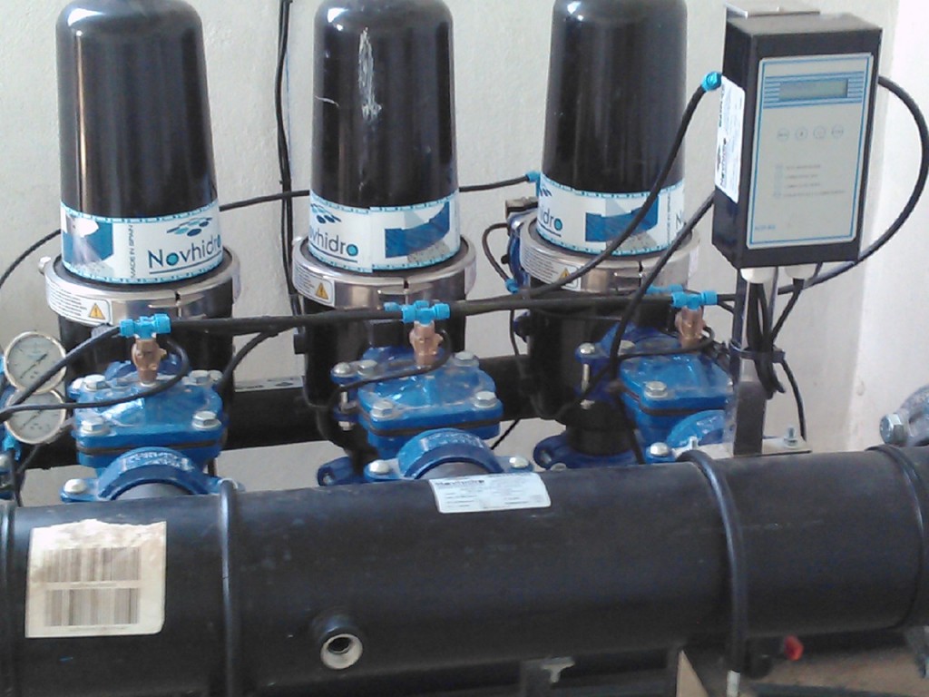 Foto: PELOCAQUI - Palma Del Rio (Córdoba), España