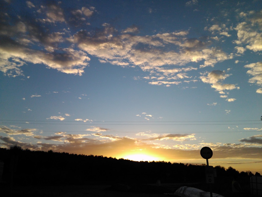 Foto: PELOCAQUI - Palma Del Rio (Córdoba), España