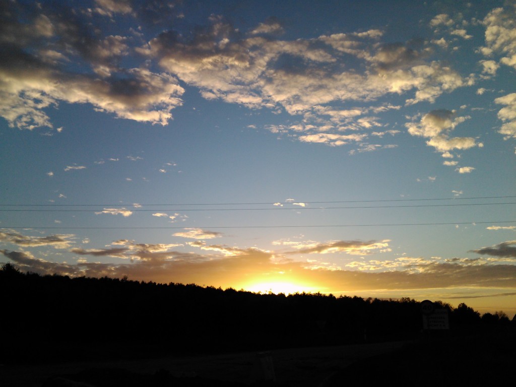 Foto: PELOCAQUI - Palma Del Rio (Córdoba), España