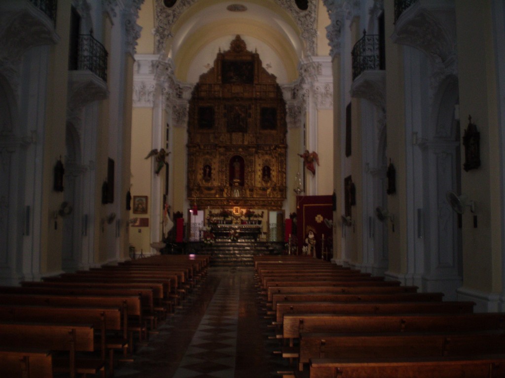 Foto: PELOCAQUI - Palma Del Rio (Córdoba), España