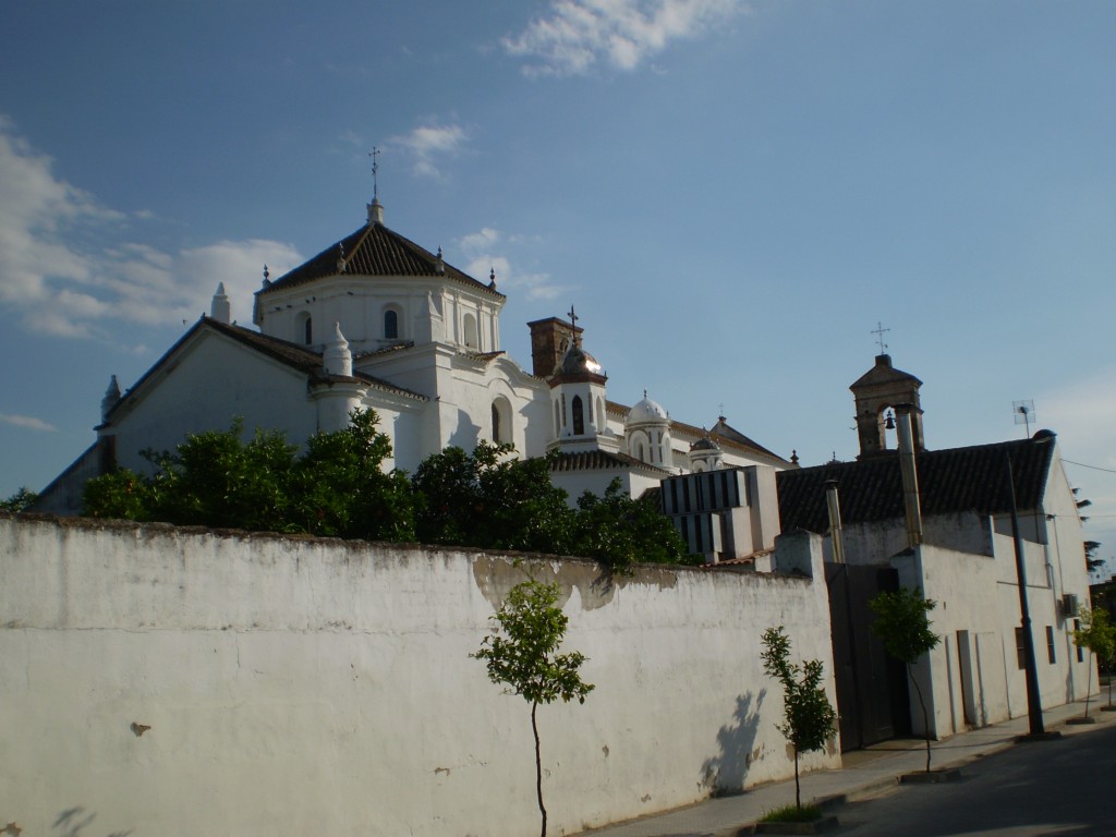 Foto: PELOCAQUI - Palma Del Rio (Córdoba), España