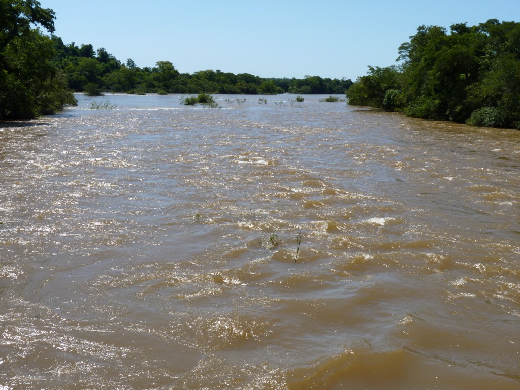 Foto: Río Iguazú - Cataratas del Iguazú (Misiones), Argentina