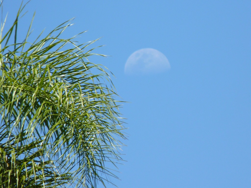 Foto: Luna asomando - Cataratas del Iguazú (Misiones), Argentina