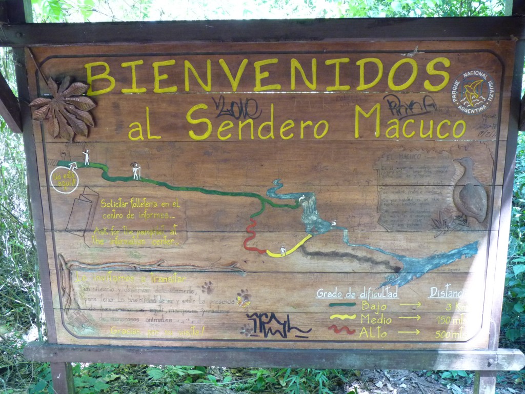 Foto: Sendero Macuco - Cataratas del Iguazú (Misiones), Argentina
