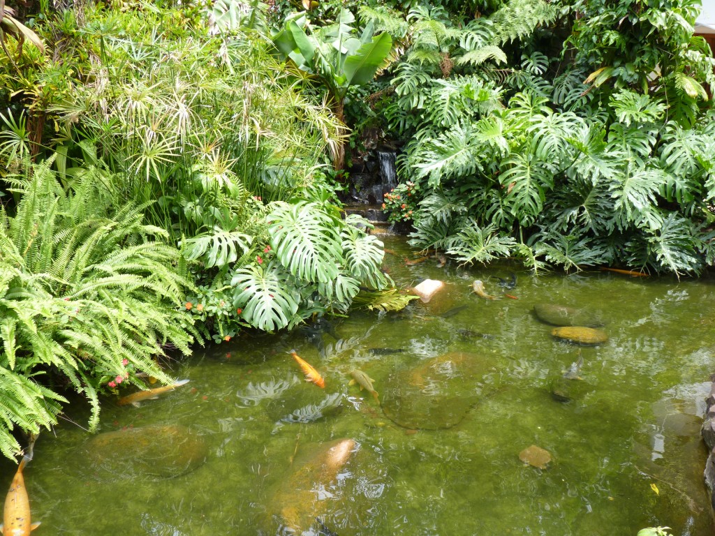 Foto: Parque das aves. - Foz do Iguaçu (Paraná), Brasil