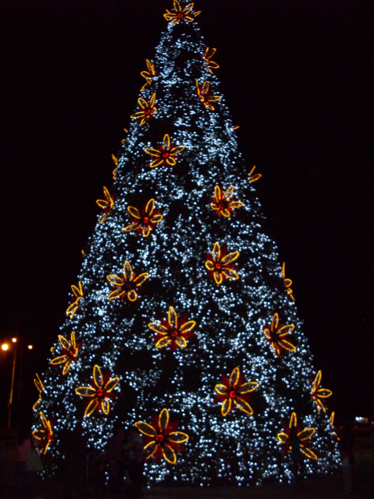 Foto: Inicio Navidad - San Diego (Carabobo), Venezuela