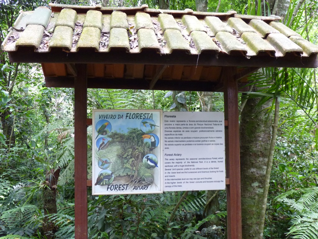 Foto: Parque das aves - Foz do Iguaçu (Paraná), Brasil