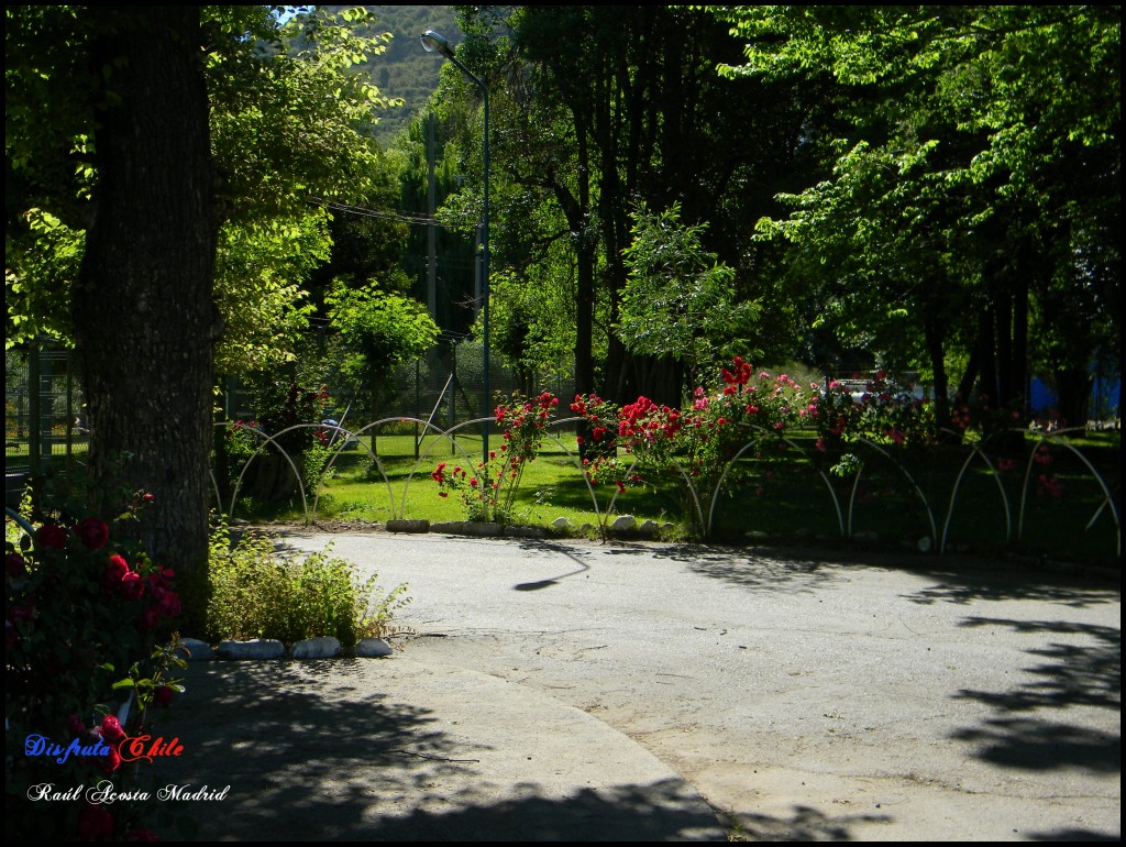 Foto de Coya (Libertador General Bernardo OʼHiggins), Chile