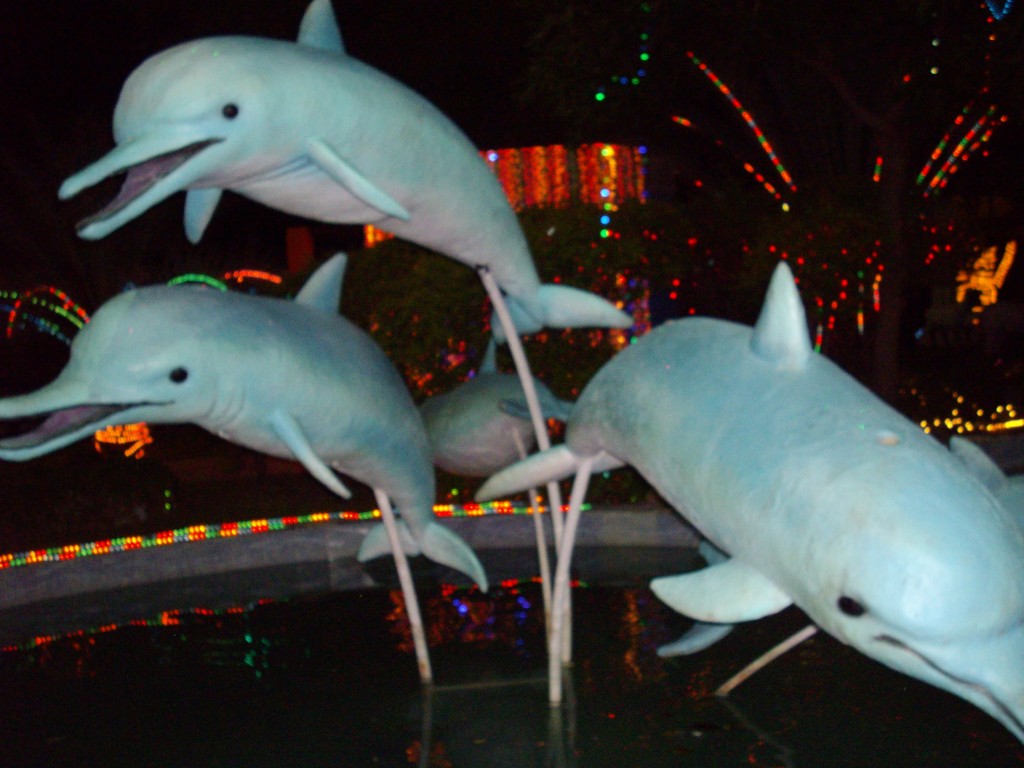 Foto: Delfines - San Diego (Carabobo), Venezuela