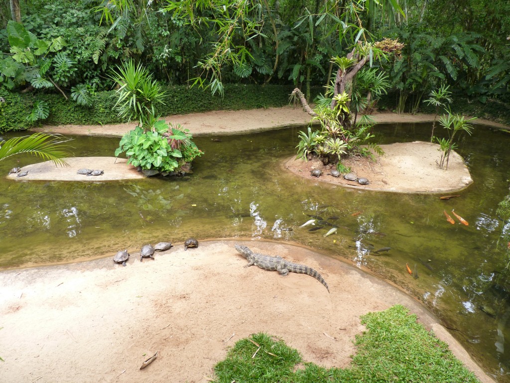 Foto: Parque das aves. - Foz do Iguaçu (Paraná), Brasil