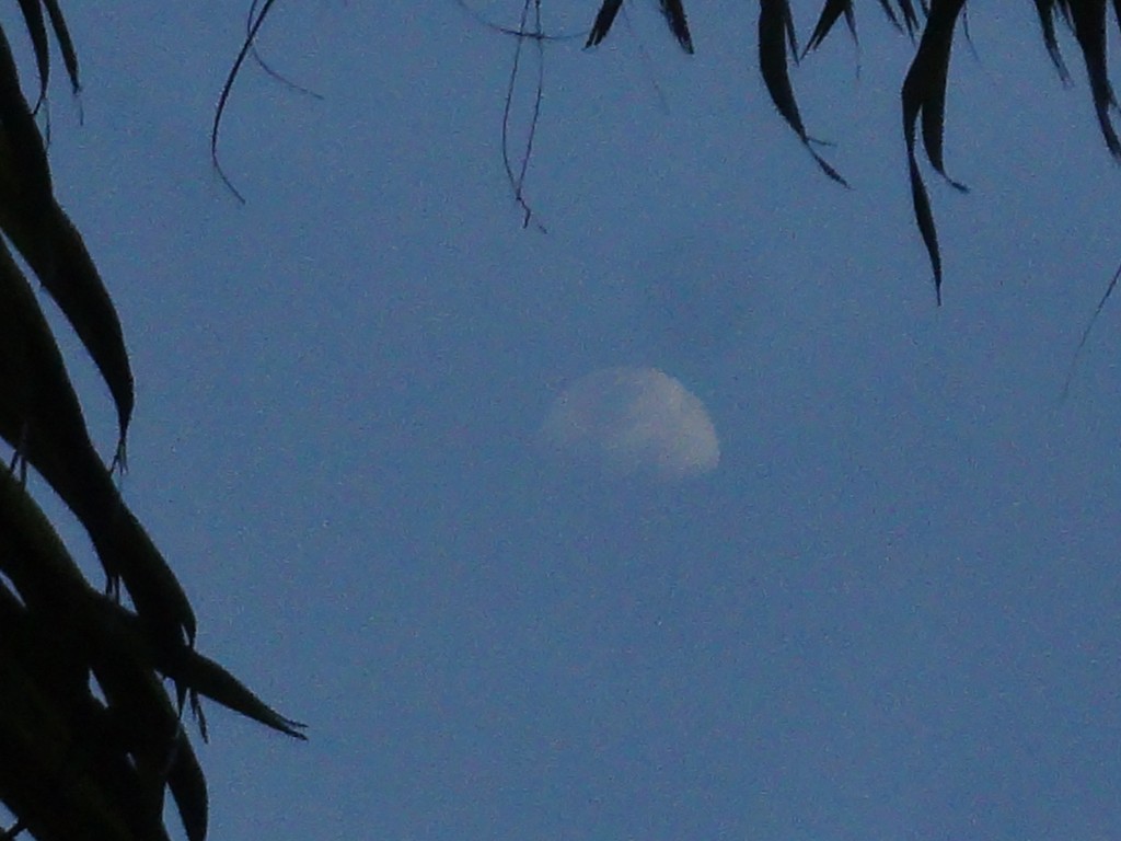 Foto: Luna - Shell (Pastaza), Ecuador