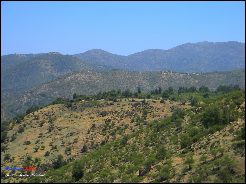 Foto de Coya (Libertador General Bernardo OʼHiggins), Chile