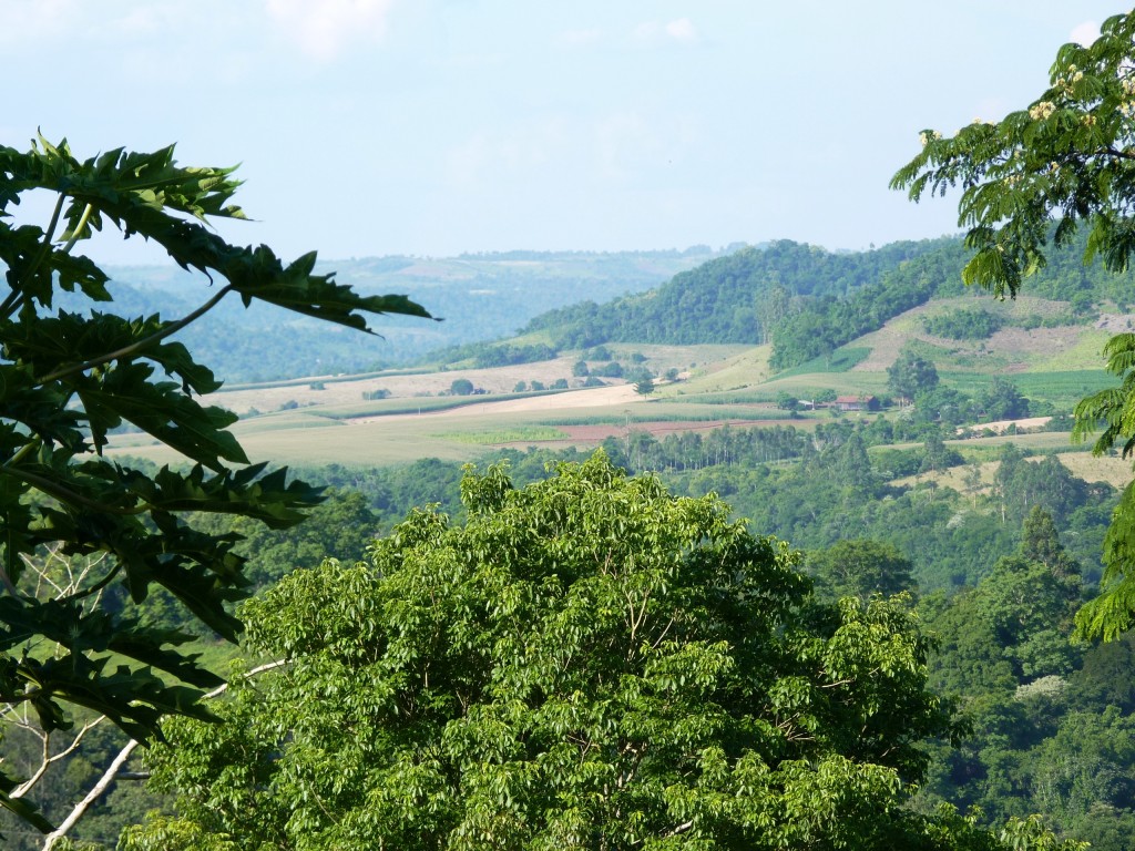 Foto: Vistas de El Soberbio. - El Soberbio (Misiones), Argentina