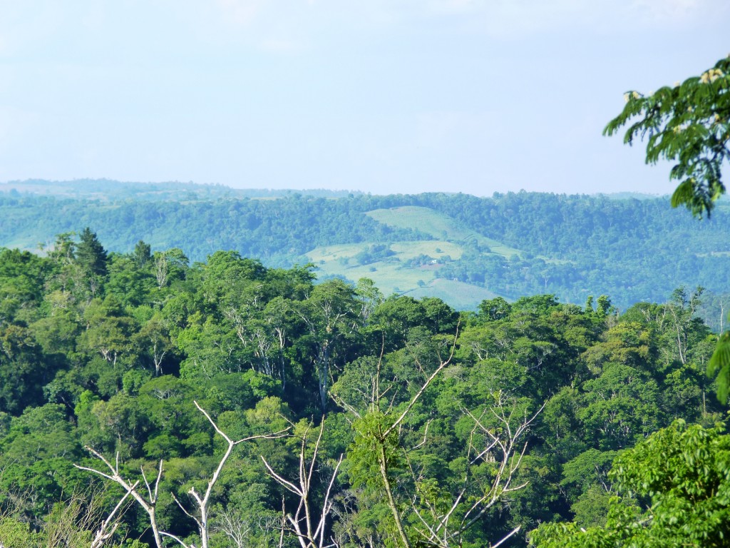 Foto: Vistas de El Soberbio. - El Soberbio (Misiones), Argentina