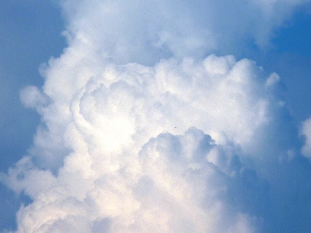 Foto: Vistas de El Soberbio. - El Soberbio (Misiones), Argentina