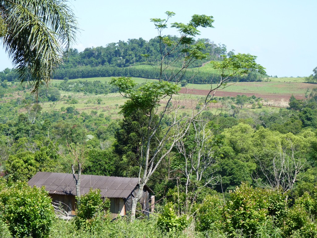 Foto: Vistas de El Soberbio. - El Soberbio (Misiones), Argentina