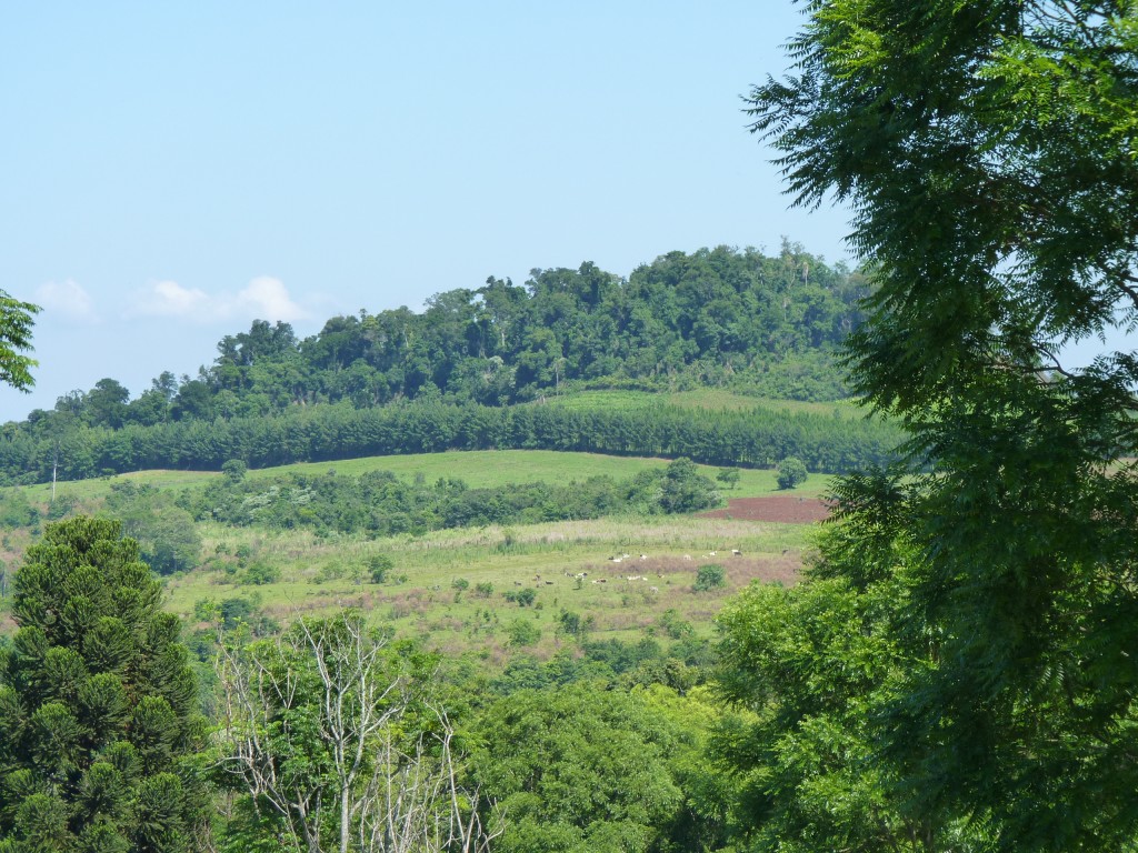 Foto: Vistas de El Soberbio. - El Soberbio (Misiones), Argentina