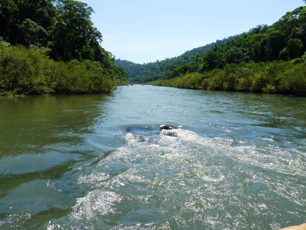 Foto: Camino a los saltos del Moconá - El Soberbio (Misiones), Argentina