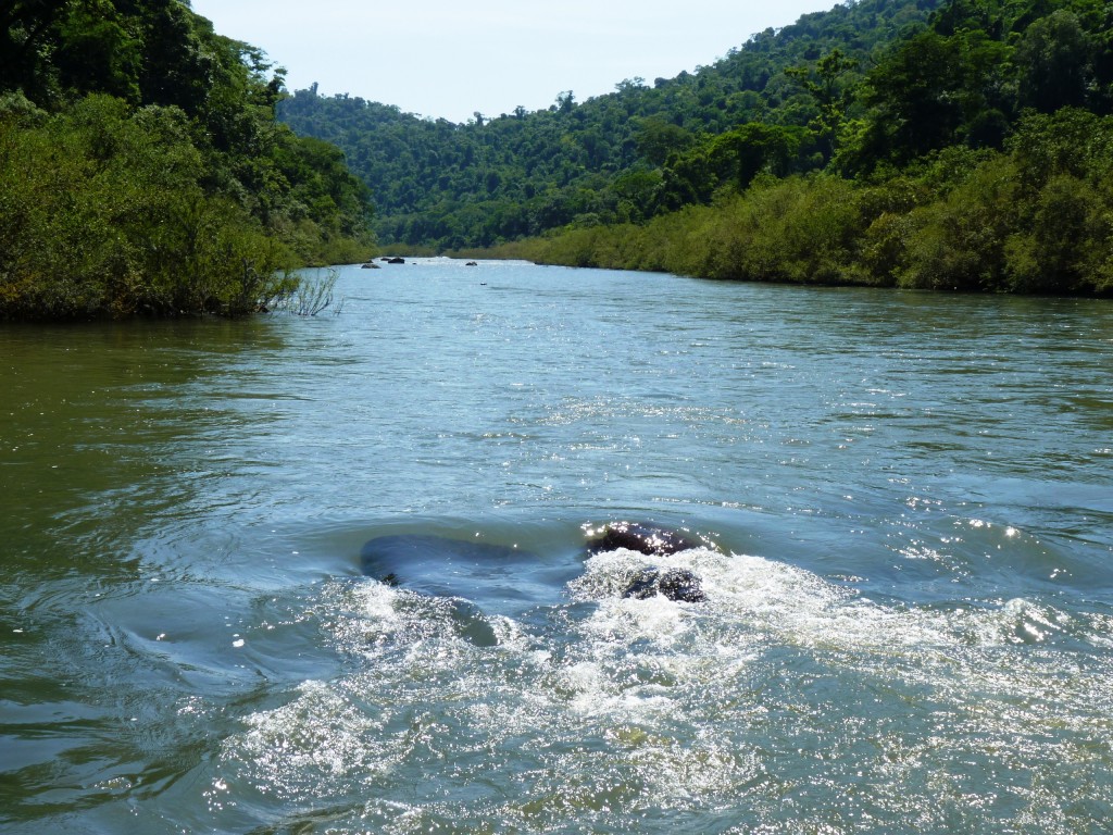 Foto: Camino a los saltos del Moconá - El Soberbio (Misiones), Argentina