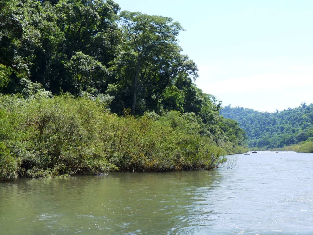 Foto: Camino a los saltos del Moconá - El Soberbio (Misiones), Argentina