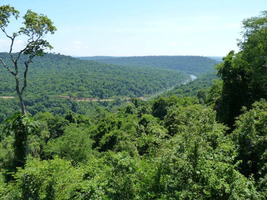 Foto: Camino a los saltos del Moconá - El Soberbio (Misiones), Argentina