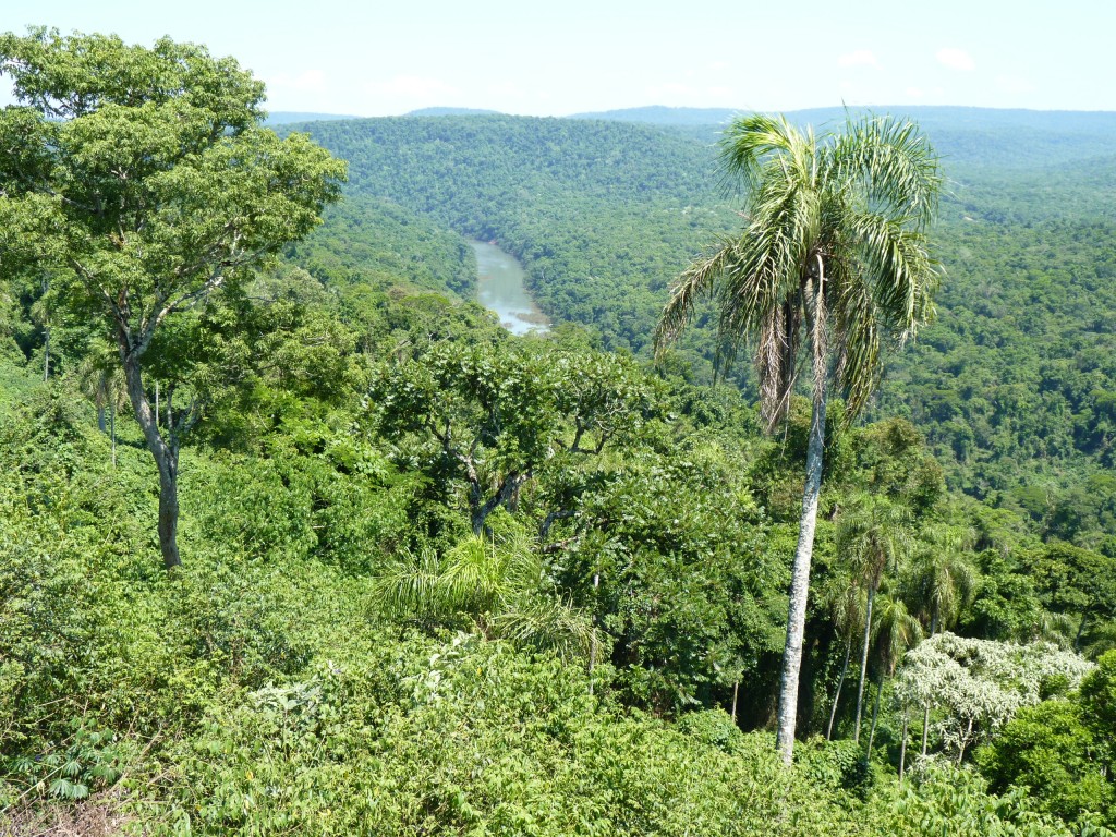 Foto: Camino a los saltos del Moconá - El Soberbio (Misiones), Argentina