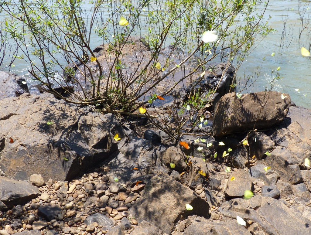 Foto: Saltos del Moconá - El Soberbio (Misiones), Argentina