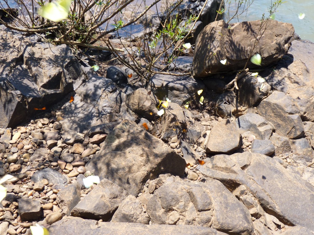 Foto: Saltos del Moconá - El Soberbio (Misiones), Argentina