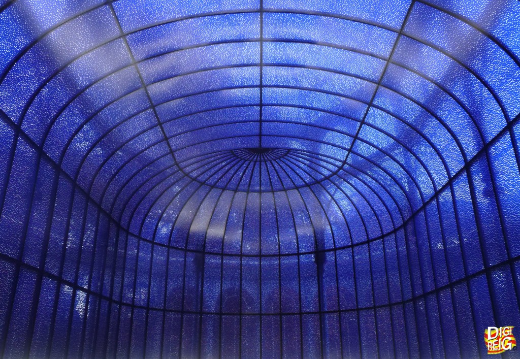 Foto: Palacio de Cristal del Retiro. - Madrid (Comunidad de Madrid), España