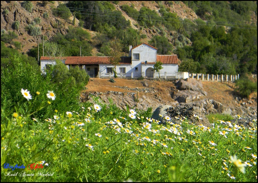 Foto de Coya (Libertador General Bernardo OʼHiggins), Chile