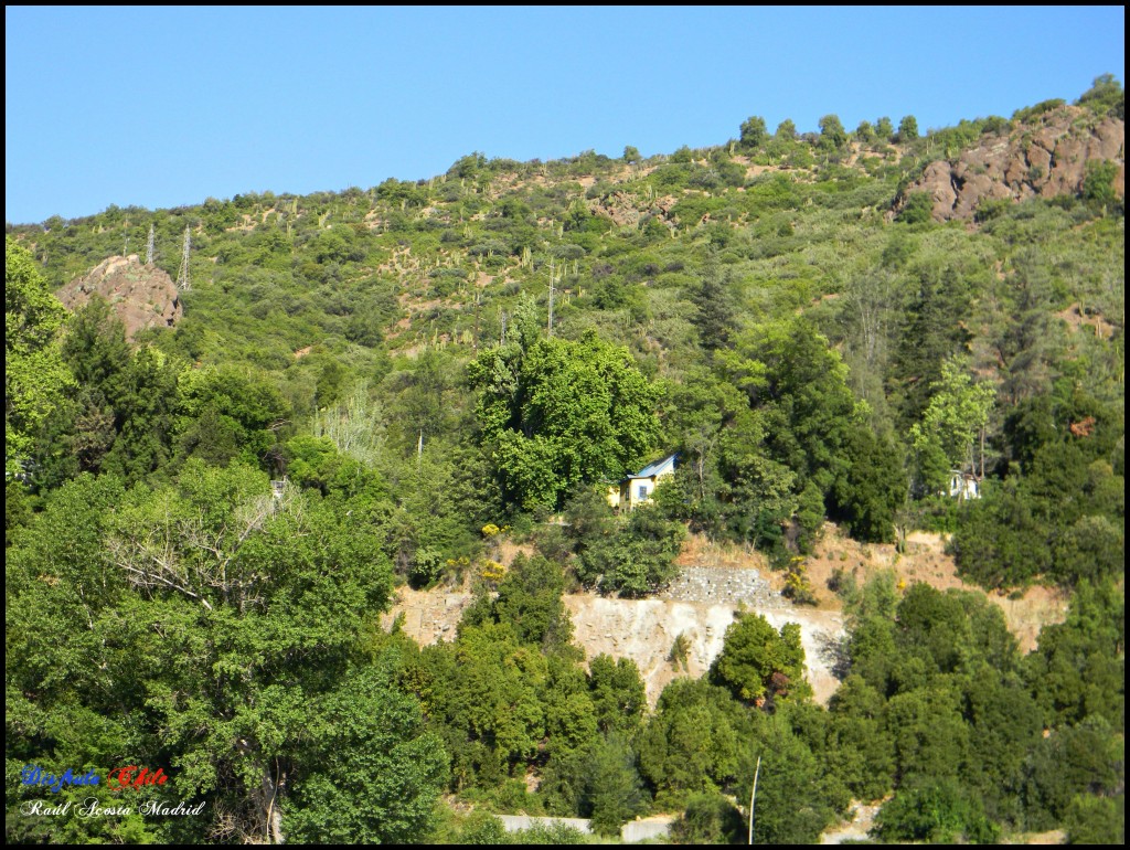 Foto de Coya (Libertador General Bernardo OʼHiggins), Chile