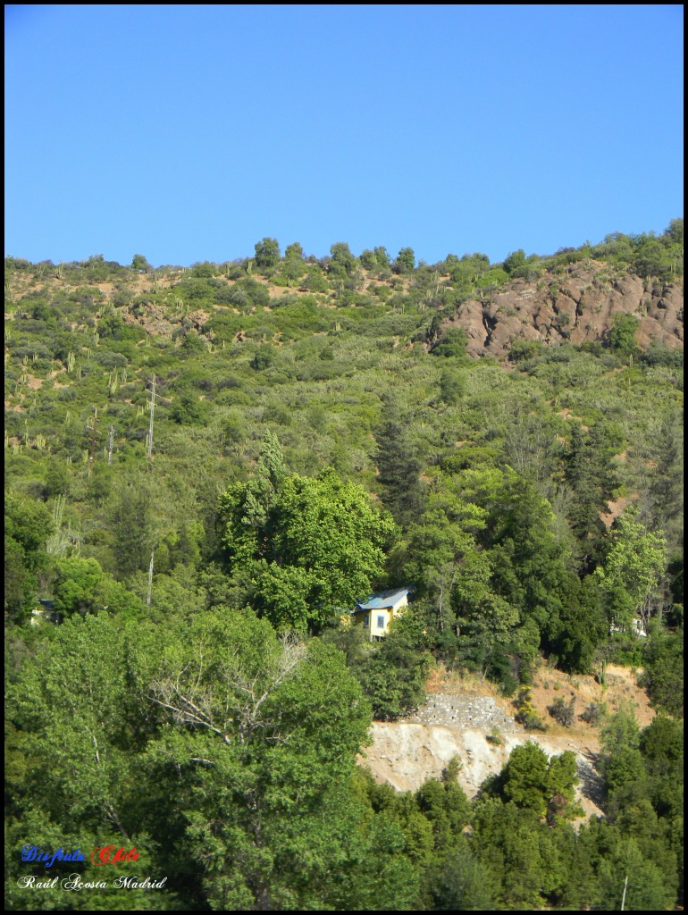 Foto de Coya (Libertador General Bernardo OʼHiggins), Chile